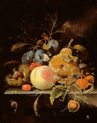 Still Life of Fruit and Nuts on a Stone Ledge by Abraham Mignon